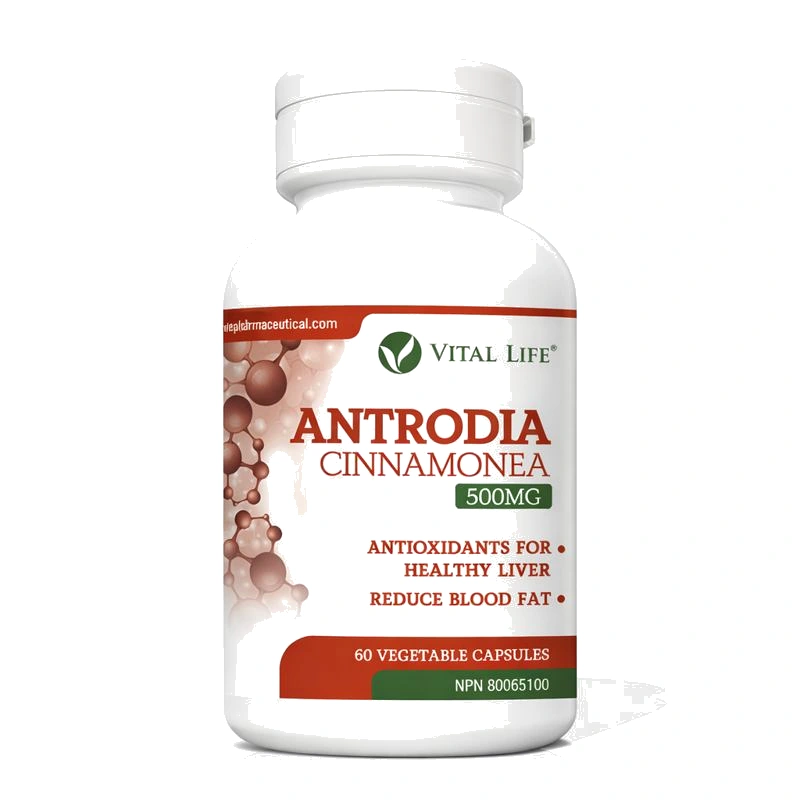 Antrodia Detox Support